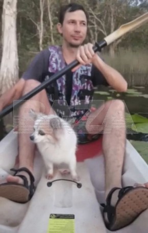 ���� �� ������� �������� � ������ ����, ���������� � �������, � ��� ����� ����� ������ � ������ ��� �����-�������� � ������������