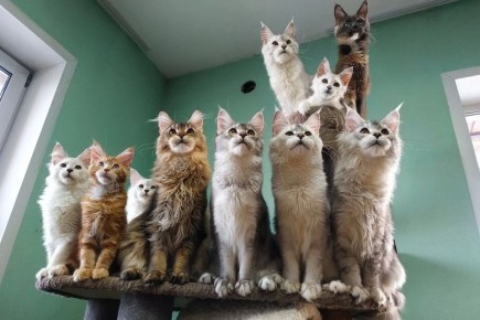 ������� � ����-���� ����� �������� �� ������� �� ������ � ������������