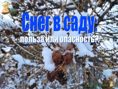 ��� ���� ����� ����� ������ ��� ������ ������ ����