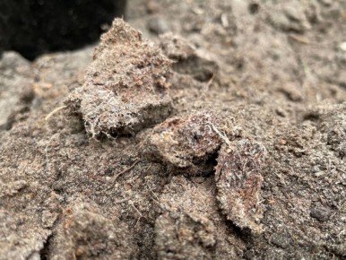 ��� �������� �������� ������� �����: ���������� �������� ����������