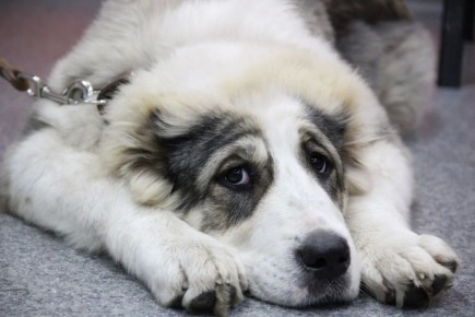 ������� ��� ����� ��������� �� ����� ������� ������������� ���������