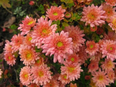 ��������� ����������: ��� ������� ��������� ������� ��� �����