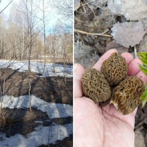 � ������������� ������� ��� ���� �����, � �������� ��� ������� �����