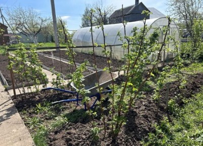 ������ ��� ��������? ��� ������� ������ ����� ����������� ��� ���