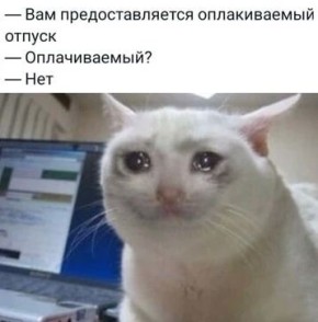 ������������ ���������, ������ ������ � ��� 2026 ���� ���� �� ��������