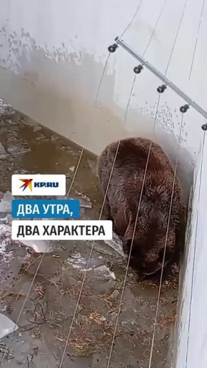 ���� ���� ������ ������������ � ��������� ������ ��� ���, ������ ��� �������� �� ������ ������