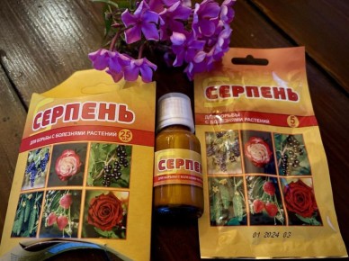 ��� ������ ��������� ��������� �������� �� ��������� ����: ������������ "�������"