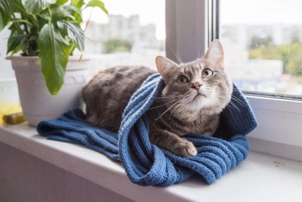 � 29 ������ � ������������ ����������� ������������ �����