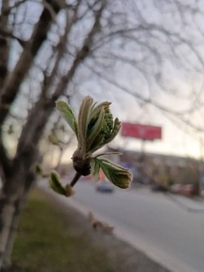 ����������� �� ������� ������� ����� ������ ����?