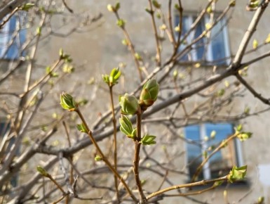 ������ � ������������ +5� � �����