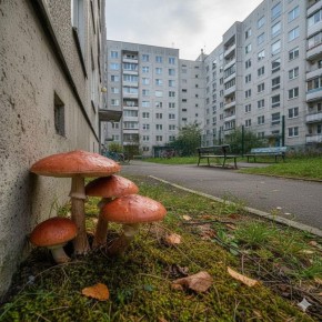 ����� �� ��������� �����: ��� ����� �����, ����� �� ��������� ��������