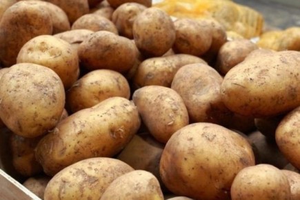 ��������� ������: ��������������� ����� ��� ������ �����