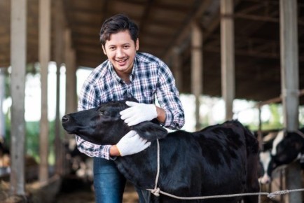 ��� ��������� ������� �������� ������: ������ ��� ���������� ��������