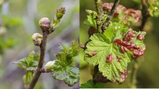 ��� ������� ����� ����������� ������ ������ ��������� �����