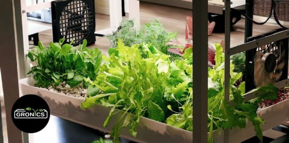 ��� ����� ������ ������ ��������� ��������������: ������ 365 ���� � ����