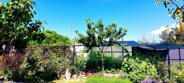 ����-������ �� 15 ���������� ������: ��� ��������� ��� ����������� ��� �����