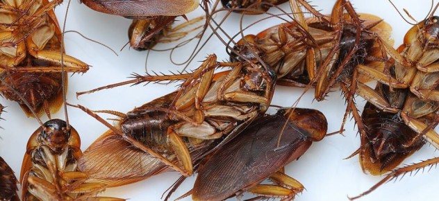 ������ � �����, ������� ���������� ���������