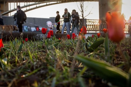 � ��������� ������� ���� ���� ������ � ������������ ����� ����� � ����� ����������� (1�3 �/c)