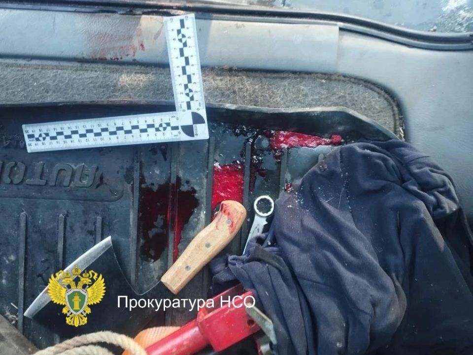 Попались с поличным: в Барабинске осудили троих браконьеров за незаконную охоту на косуль Попались с поличным: в Барабинске осудили троих браконьеров за незаконную охоту на косуль