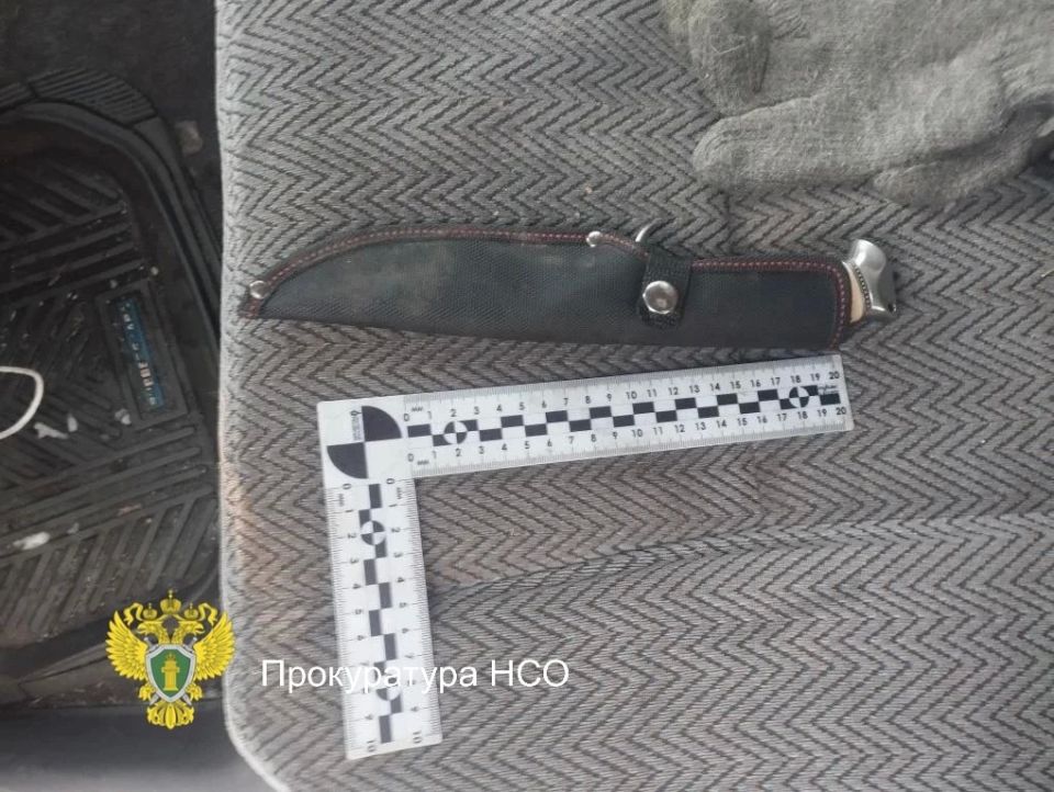 Попались с поличным: в Барабинске осудили троих браконьеров за незаконную охоту на косуль