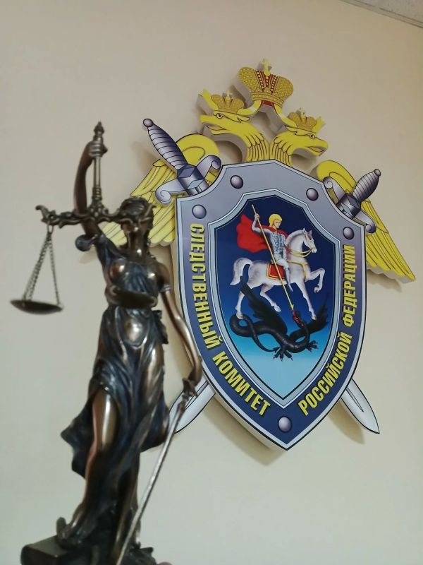 Житель Доволенского района признан виновным в умышленном причинении тяжкого вреда здоровью пожилой женщине, повлекшего ее смерть
