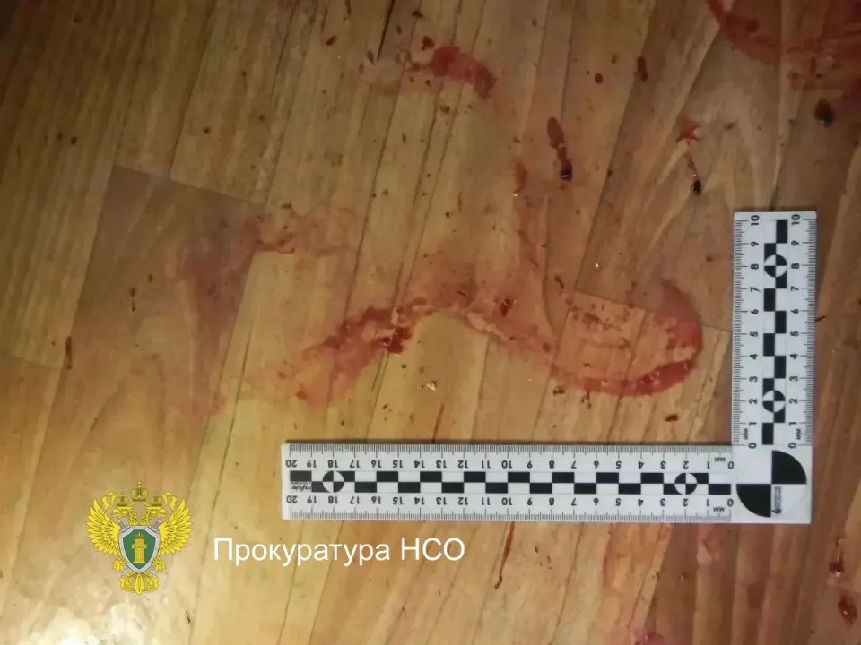 Леденящая кровь история: житель НСО убил мужчину, был осужден, отбыл за это наказание, вернулся из мест лишения свободы и убил его отца Леденящая кровь история: житель НСО убил мужчину, был осужден, отбыл за это наказание, вернулся из мест лишения свободы и убил его отца