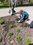 Горзеленхоз готовит город к цветущему сезону