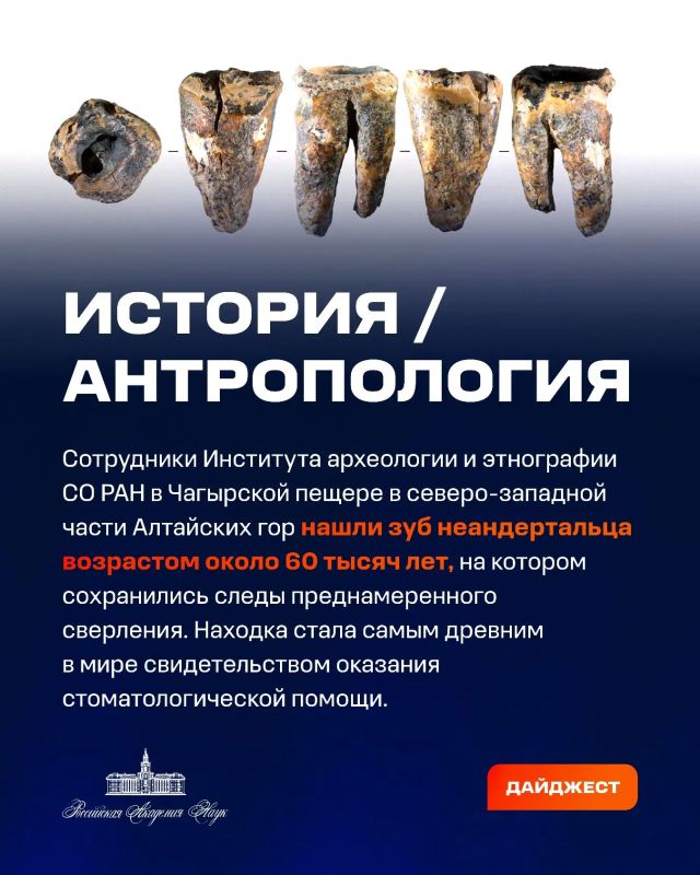 О самых интересных открытиях российских ученых за неделю по версии Минобрнауки России, РАН и РНФ — смотрите в карточках О самых интересных открытиях российских ученых за неделю по версии Минобрнауки России, РАН и РНФ — смотрите в карточках