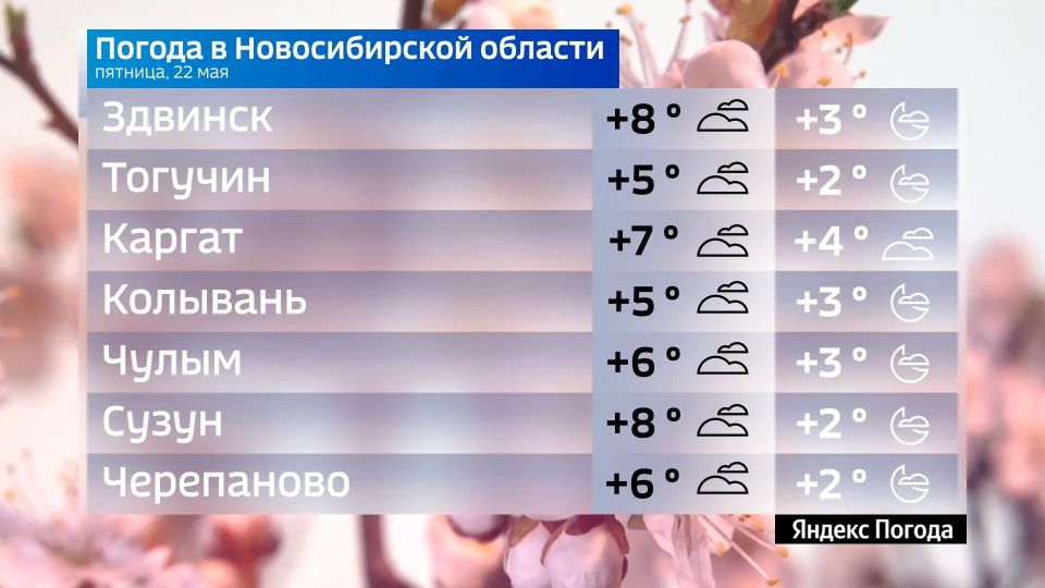 Прогноз погоды на 22 мая 2026 года в Новосибирской области Прогноз погоды на 22 мая 2026 года в Новосибирской области