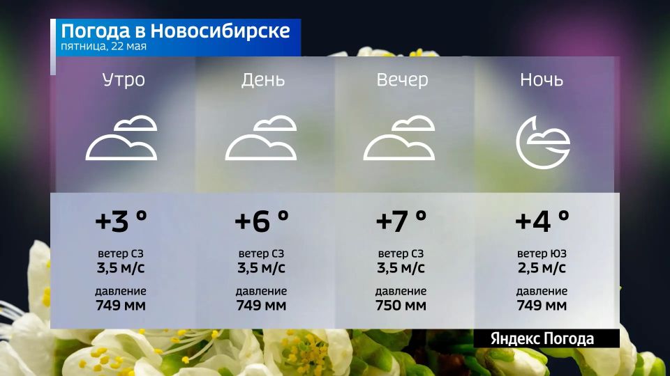 Прогноз погоды на 22 мая 2026 года в Новосибирской области