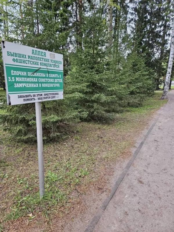 Дети сорвали памятные таблички в сквере Победы и играли ими в «мечи» в Новосибирске Дети сорвали памятные таблички в сквере Победы и играли ими в «мечи» в Новосибирске