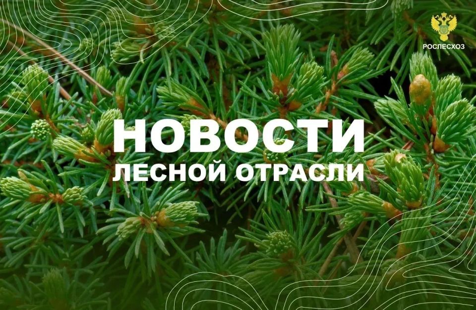 AK&M: Рослесхоз: в дальневосточных регионах сохраняются высокие и чрезвычайные классы пожарной опасности