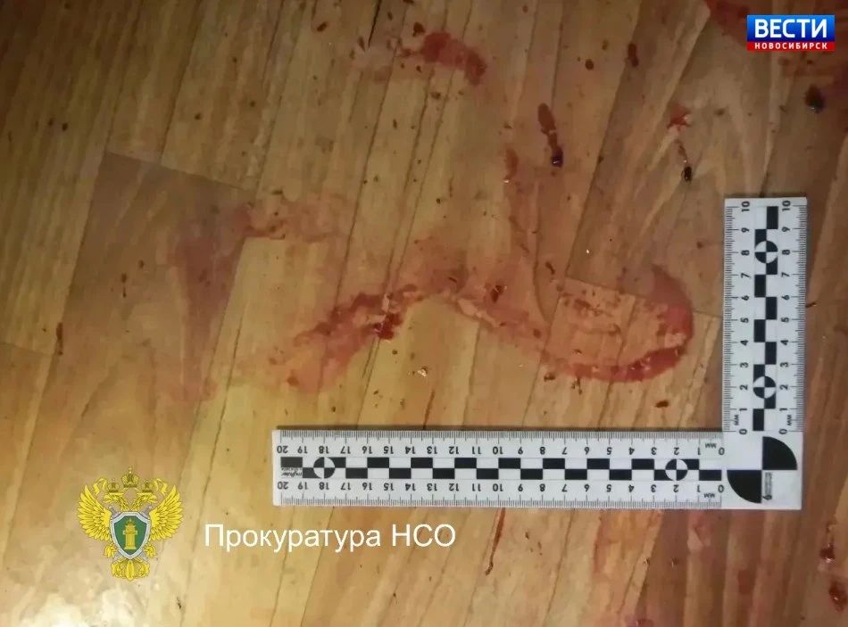 Убил отца жертвы. В Карасукском районе начали судить новосибирца по подозрению во втором убийстве