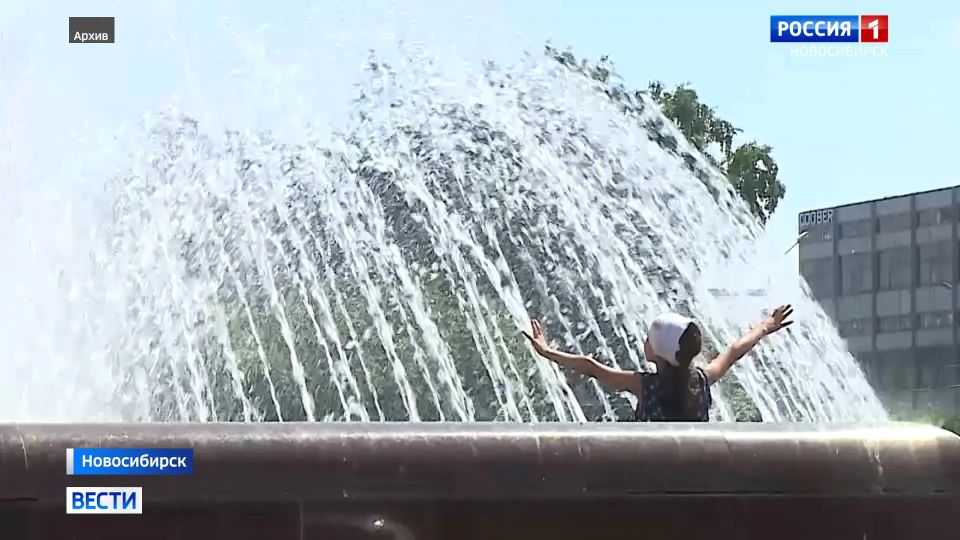 «До 20 °C и выше». Тепло придет в Новосибирскую область на следующей неделе, обещают синоптики