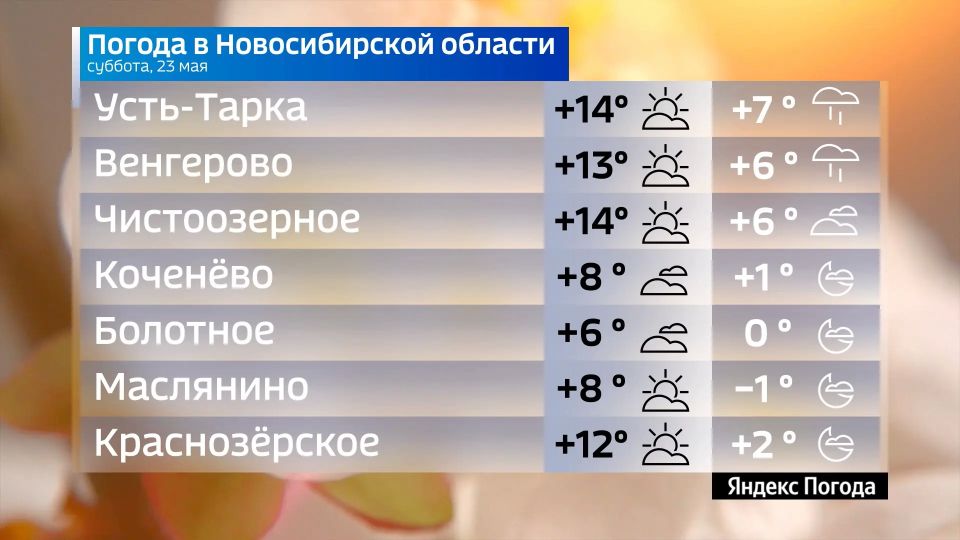Прогноз погоды на 23 мая 2026 года в Новосибирской области Прогноз погоды на 23 мая 2026 года в Новосибирской области