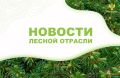AmurMedia: � ����������� ���� ������ ����������� ����������� �������������� �� 13 �����������-��������