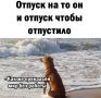 � ������ ����� ��������� ����� ��������� ���� � ����