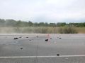 ��� � �������� ��������� �� ������ ������� ��� �������������