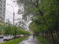 Доброе утро, Новосибирск! Последний день весны обещает быть прохладным: температура не превысит +14°