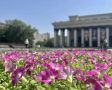 Максим Кудрявцев: В Новосибирске с начала сезона уже высажено более 2,5 тысячи деревьев и кустарников и 150 тысяч цветов