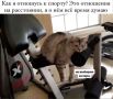 150 минут в неделю: сколько нужно двигаться новосибирцам, чтобы не болеть