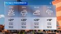 Прогноз погоды на 12 июня 2026 года в Новосибирской области