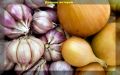 Как продлить срок хранения лука и чеснока: полезные советы для дачников