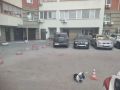 � ������ ������������ �� ����� ����� ����������� ��������