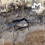 Следы купеческих домов нашли на месте будущей экспозиции Музея Новосибирска