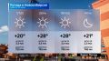 Прогноз погоды на 20 июня 2026 года в Новосибирской области