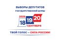 Выборы депутатов Государственной Думы Федерального Собрания Российской Федерации-2026