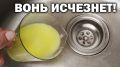 ����������� ������� ��������� �����������: ��� ���������� �� ������� ��� ������ ������