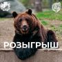 �������� 3 ��� �� ����������� ��������� ������� � ������������� ������� ����� �. �. ����