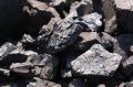 Чёрную пандемию 800-летней давности установили по углям учёные НГУ